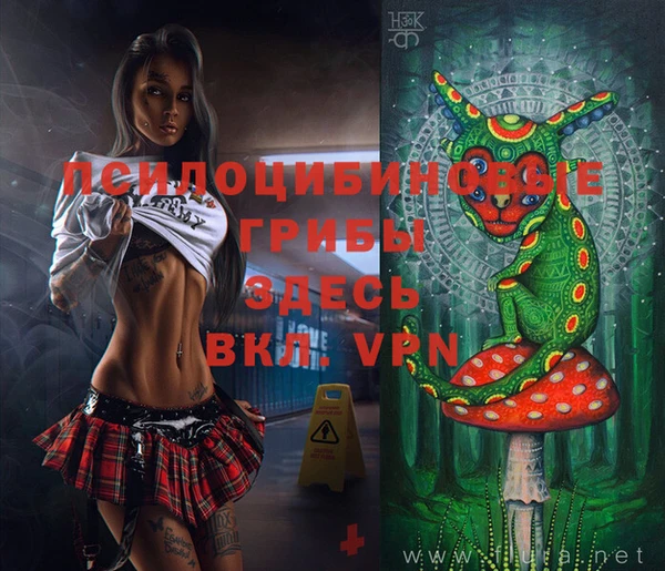 ГАЛЛЮЦИНОГЕННЫЕ ГРИБЫ Алзамай