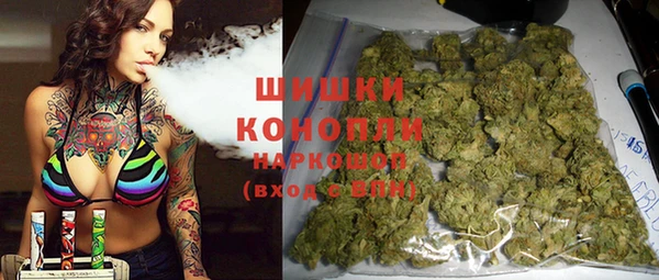ГАЛЛЮЦИНОГЕННЫЕ ГРИБЫ Алзамай